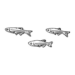 group of tiny fish vector