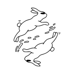jumping rabbits with water splash