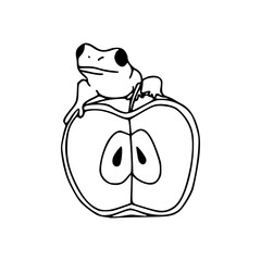 nature scene : frog and apple