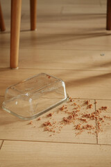 Glass container spilled on wooden floor with crumbs scattered