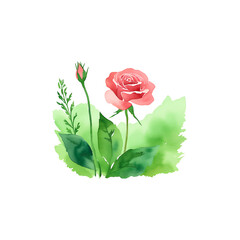 Fototapeta premium Watercolor bouquet of red roses