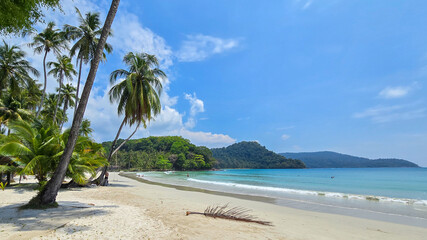 Relax on the stunning shores of Koh Kood Island, Thailand. Towering palm trees sway above golden sands, while gentle waves lap the beach under the vibrant blue sky.