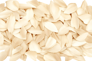 Abstract Background of Beige Leaves in Natural Texture Isolated PNG
