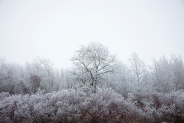 Chilly winter evening in Idaho