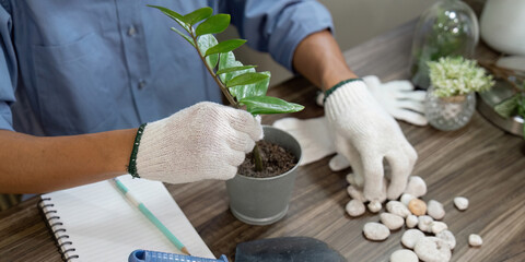 Gardening and Plant Care. A person potting a plant, demonstrating sustainable gardening techniques and attention to detail.