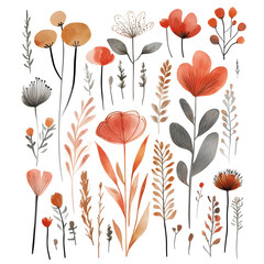 Watercolor botanical flower set on white background