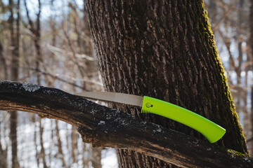 A vibrant green saw, featuring an ergonomic grip for user comfort, rests on a sturdy branch,...