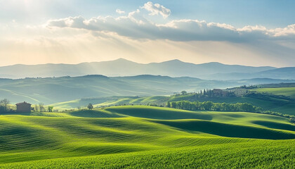 Beautiful green grass field with sun rays over the horizon. Natu