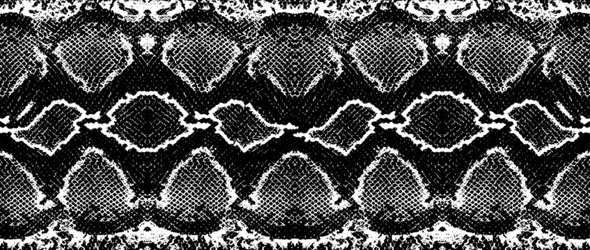 skin snake anaconda repeats seamless texture pattern boa black and white. print
