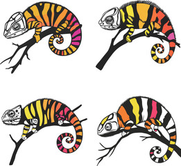 Colorful Chameleon Illustrations