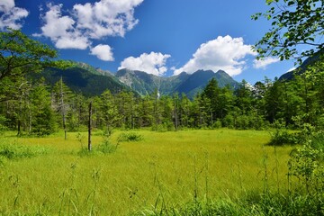 Fototapeta premium 夏の上高地