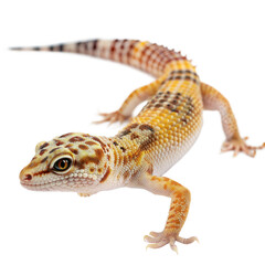 Naklejka premium Gecko AI Generated Image