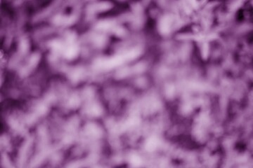 Obraz premium Soft Purple Abstract Texture for Creative Designs and Artistic Backgrounds