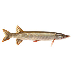 Gar AI Generated Image