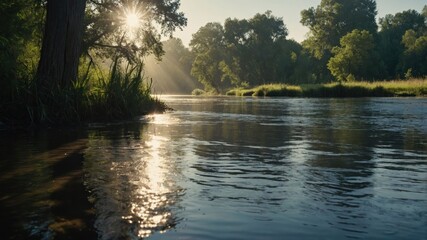 Fototapeta premium River Flowing Through Forest at Sunrise with Sunbeams Shining Through