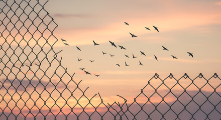 Birds Flying Through Hole in Fence at Sunset with Golden Sky and Clouds Concept of Freedom and Escape