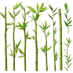 Obraz premium Fresh green bamboo stalks with leaves on backgroundisolated on transparent background png
