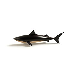 Fototapeta premium shark isolated on white background