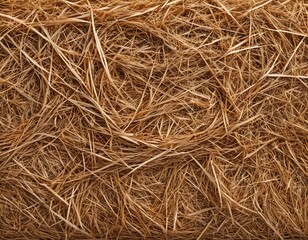 Dry Grass Texture Background