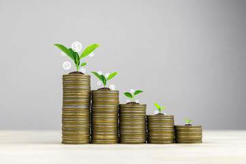 Money management, financial planning and savings concept. Many coins arranged in rows with tree,...