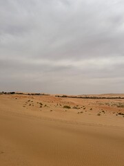 sand dunes in the desert