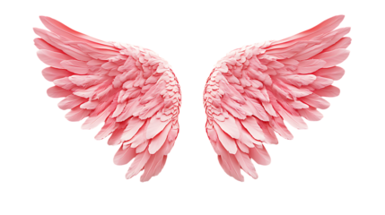 Elegant Pink & White Angel Wings Ethereal Beauty PNG