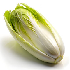 cabbage isolated on white