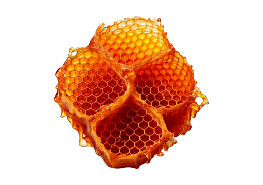 Honeycomb isolated on transparent or white background - Powered by Adobe
