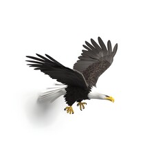 Obraz premium 3D logo bald eagle diving to grab prey