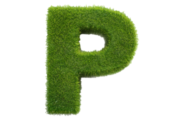 Grass font 3d rendering letter P isolated on a transparent or white background