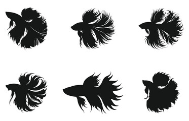 Obraz premium Betta (Siamese Fighting Fish) Silhouette Vector Art and Black Betta Fish Design Illustration set