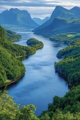 A scenic view of a river surrounded by mountains and forests