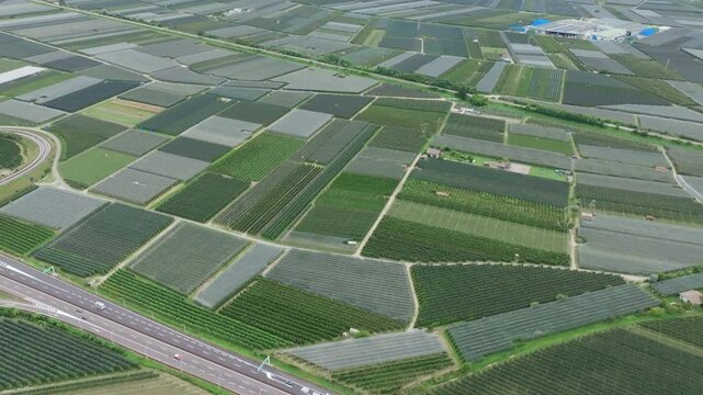 Aerial footage flying over a busy highway that cuts through vineyards in a valley in northern Italy.