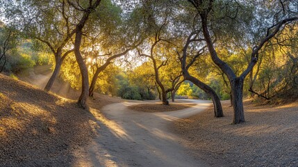 Fototapeta premium Sunlit path winding through oak grove, nature background, perfect for travel brochure