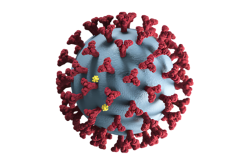 A Detailed 3D Rendering of the SARS-CoV-2 Virus Structure isolated on transparent background 