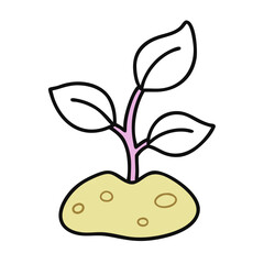 Sprouting plant growing from soil  