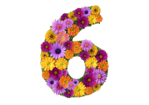 6 made from flowers isolated on a transparent or white background