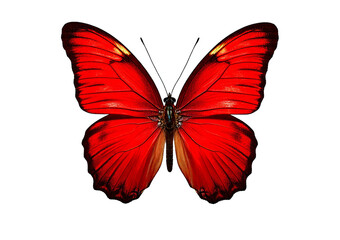 Red butterfly isolated on transparent or white background