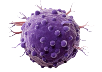 Cancer Cells isolated on a transparent or white background