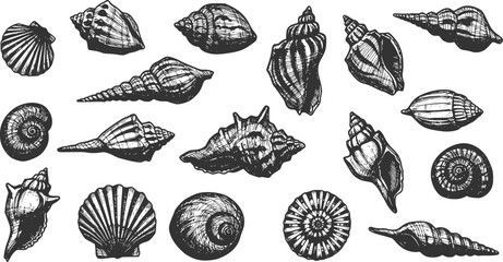 Hand drawn vector illustrations - seamless pattern of seashells. Marine background. Perfect for invitations, greeting cards, posters, prints, banners, flyers