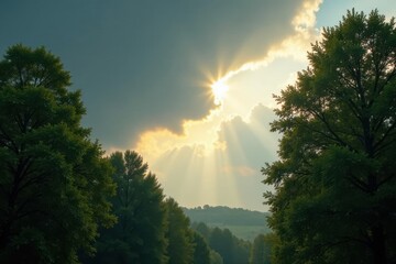 overcast sky with sunbeams filtering through trees,  sunbeams,  dappled effect