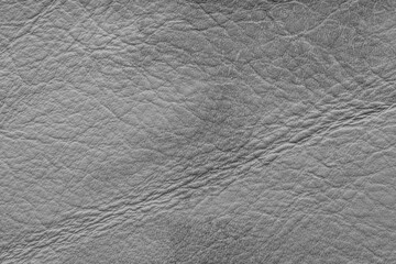 Gray Genuine Leather Texture – Close-Up Top View Background