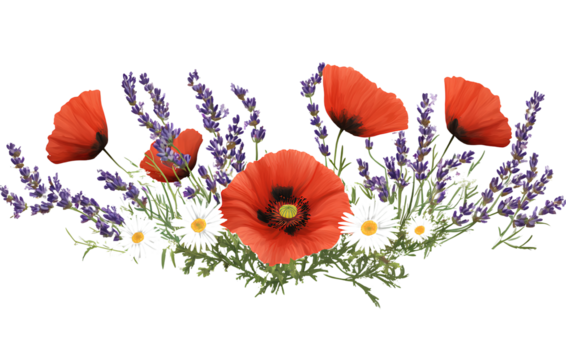 A wild flower bouquet with red poppies, white daisies, and purple lavender, on a transparent background - Powered by Adobe