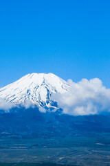 春の富士山