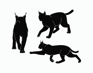 Obraz premium Lynx Silhouette Template Set on White Background