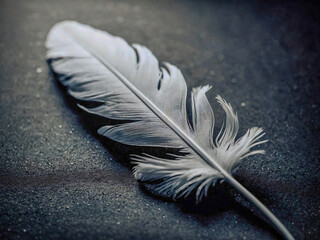 Feather icon symbolizing an elegant plume