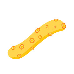 Bacteria and Virus Illustration