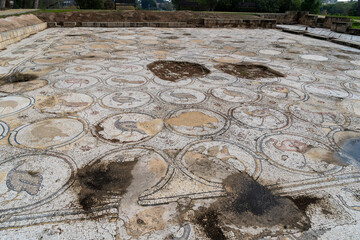 The Bird Mosaic of Caesarea: Ancient Roman Artistry Preserved