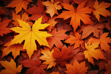 Fototapeta premium pile of orange and yellow leaves on the ground