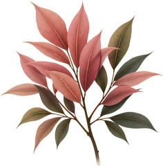 Obraz premium Autumn leaves branch, pink and green. Transparent background.